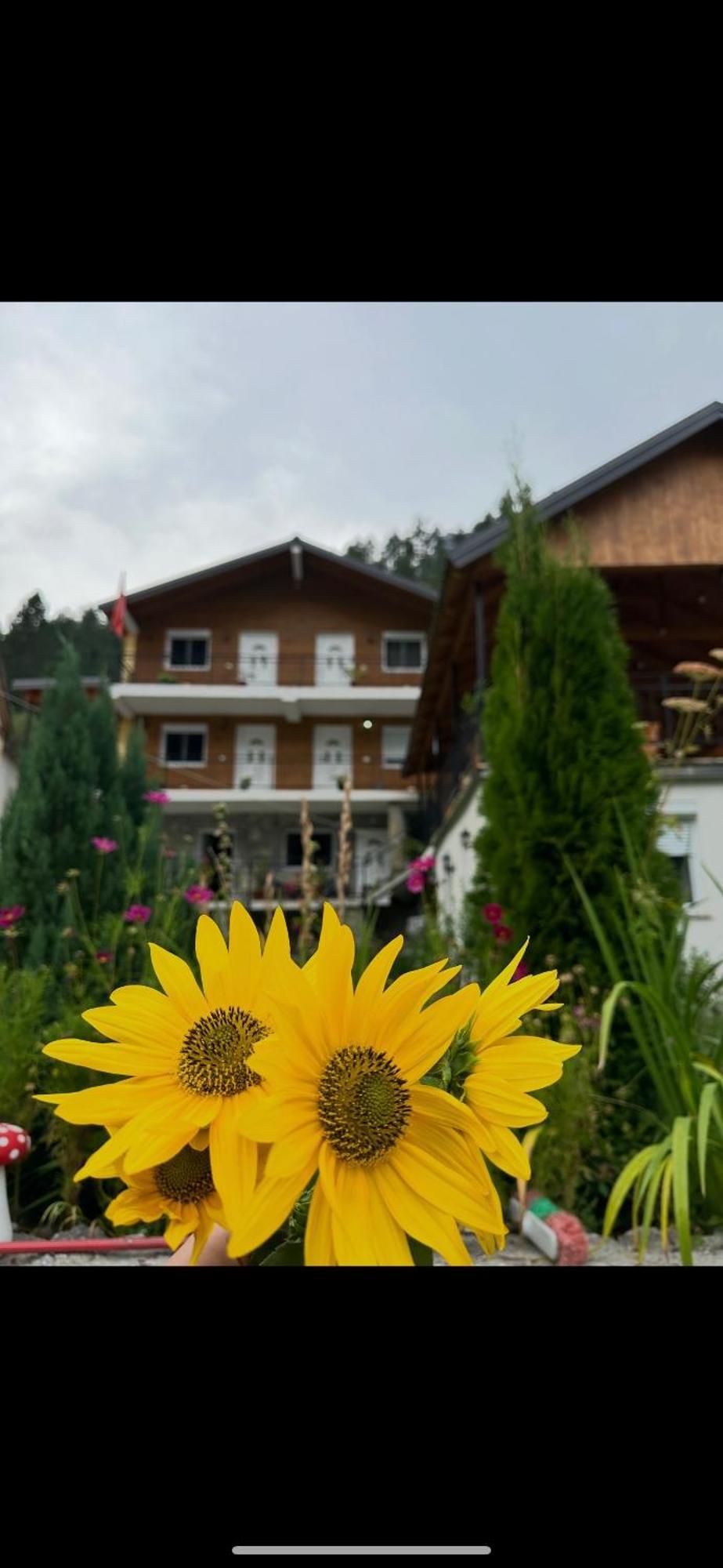 Bujtina Brahim Selimaj Valbone Exterior foto