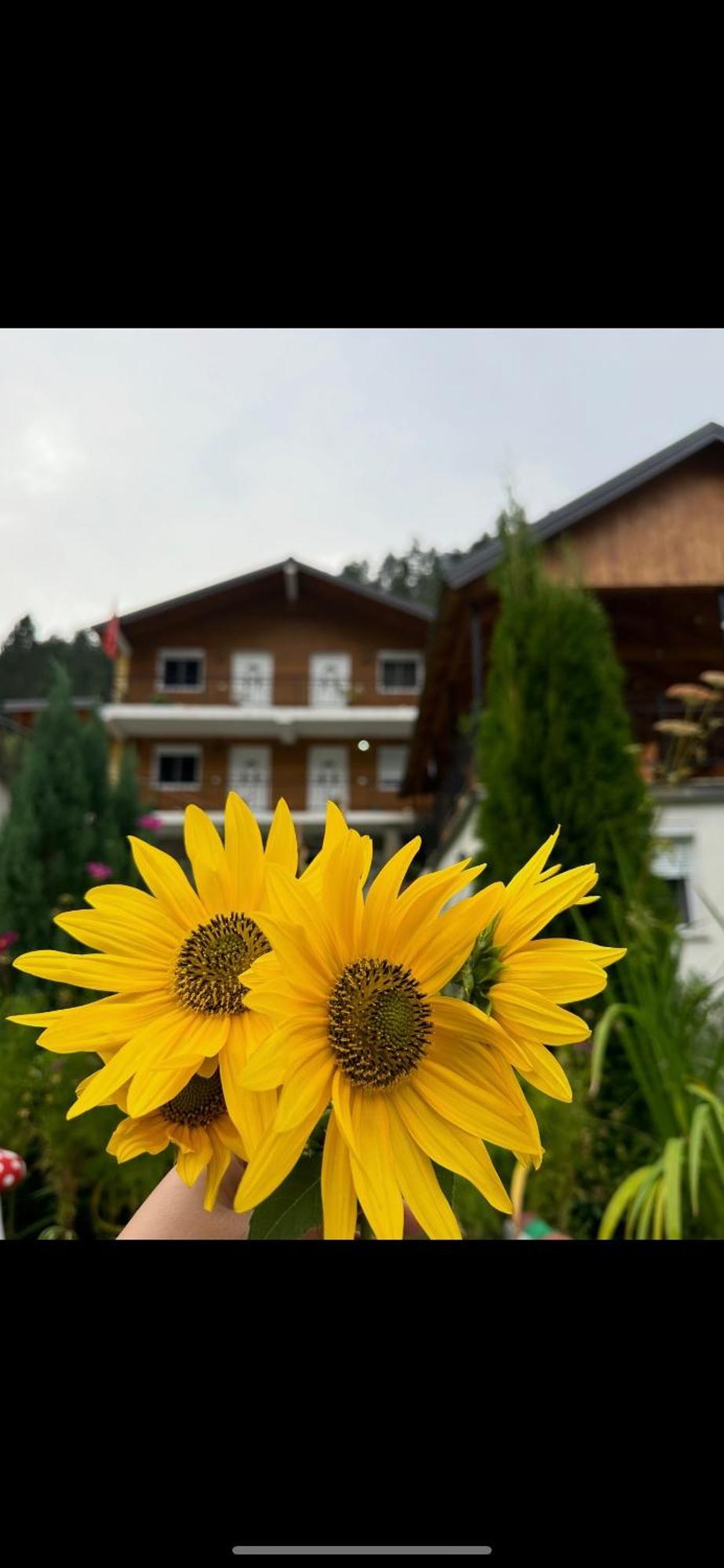 Bujtina Brahim Selimaj Valbone Exterior foto